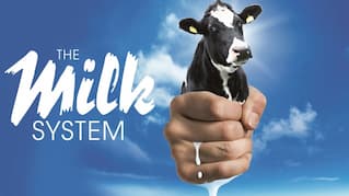 THE MILK SYSTEM