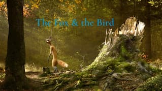 THE FOX & THE BIRD