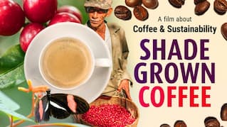 SHADE GROWN COFFEE