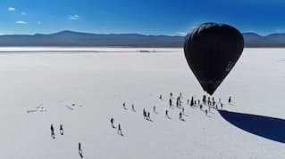 CLIMATE ART - FROM PROTEST TO UTOPIA