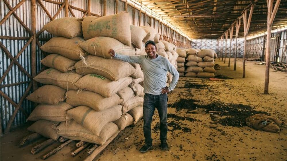 SHADE GROWN COFFEE