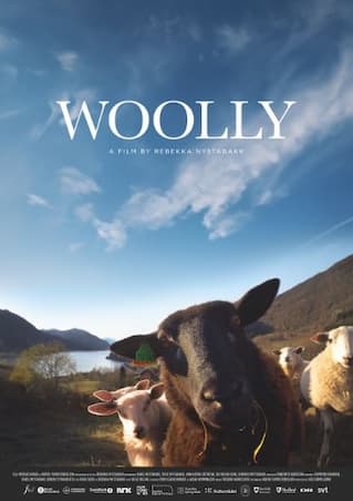 WOOLLY