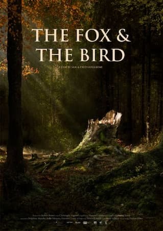 THE FOX & THE BIRD