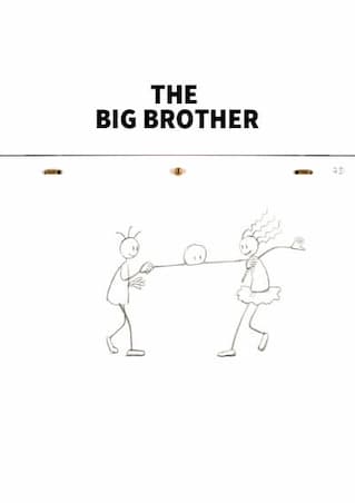 THE BIG BROTHER