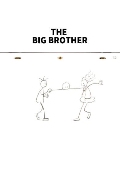 THE BIG BROTHER